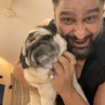 Parag Tyagi Instagram - Home alone new year eve. New year party with my Kukku Simba .. We are missing you our life line.. ❤️❤️❤️😘😘😘 #happynewyear #partner #love #instapug #pug #simba #gratitude #missyou