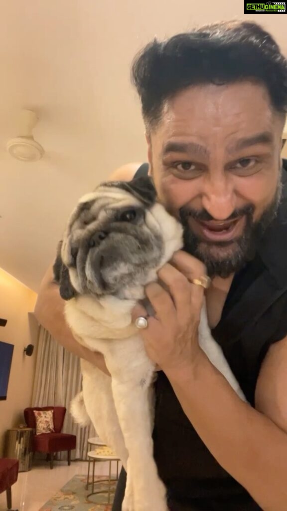 Parag Tyagi Instagram - Home alone new year eve. New year party with my Kukku Simba .. We are missing you our life line.. ❤️❤️❤️😘😘😘 #happynewyear #partner #love #instapug #pug #simba #gratitude #missyou