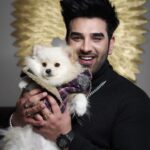 Paras Chhabra Instagram - Mitsi ❤️😘 @piccolomitsi 🎥 @i.parasbains #paraschhabra #parasarmy #mitsi #cutedog #toypom