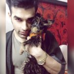 Paras Chhabra Instagram - 1.50 killo ka Goku the super saiyan 😻😻😻💋💋💋 The smartest Dog 🐶 #petlove #love #unconditionallove #unconditional #loyal #yorkshire #terrier #delhi #friendzone #friends #instagram #instashot #ruthless #king #splistvilla #mtv #teji #badhobahu #&tv #rising #star South Delhi