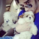 Paras Chhabra Instagram - TED & BELLA 😍😍😍😍😍😍😘😘😘😘😘😘😘