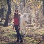 Pooja Banerjee Instagram - Time to go back to the mountains… #mountaincalling #Himachal #Manali#naturelover #PoojaBanerjee