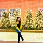 Preethi Asrani Instagram – What a dayy! 🌻🎄

#ferrariworld
#dubaidiaries Ferrari World Yas Island, Abu Dhabi