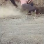 Raghav Juyal Instagram - @ishanbhandarii epic fall