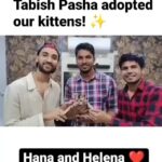 Raghav Juyal Instagram - #Repost @arsalanthecat ・・・ Raghav Juyal and Tabish Pasha adopted our kittens! ✨ Alhamdulillah! #raghavjuyal #tabishpasha #cats #catsofinstagram #cat #kittens #kittensofinstagram #kitten #catstagram #kittenstagram #cats_of_instagram #kitty #catsofig #catlovers #photography #catstagram