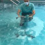 Raghav Juyal Instagram - Post surgery rehab @aquacentric @arnaazdoctor