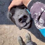 Raghav Juyal Instagram – Ye connection bhi kamaal ki cheez hai kisi se bhi ho jati hai Uttarakhand