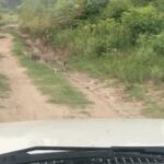 Raghav Juyal Instagram - Amazing drive at @chondkot_farm #raghavjuyal #rishikesh #salvushotels #adventure #offroad #nature #uttarakhand #dehradun #raw #rural