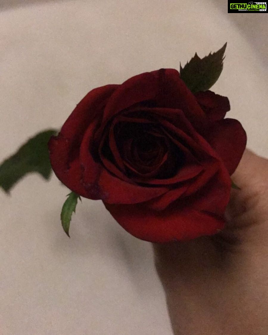 Ragini Khanna Instagram - Pure joy and beauty lies in simplicity and innocence.. vulnerability in today's time needs to be guarded ♥️ #timeswelivein #loveissooverrated but we still love love... Love ♥️