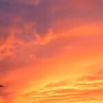 Ragini Khanna Instagram - My first original number 😍couldn’t find a better start than worshiping mother nature & the universe 🙏🏼 need love & blessings in abundance 🙏🏼🕉 PS:- earphones 🎧 will lend a better sound experience. Love it share it 💖 YouTube.com/KaaminiKhannaMusic http://YouTube.com/KaaminiKhannaMusic