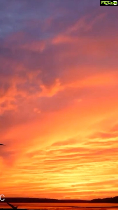 Ragini Khanna Instagram - My first original number πcouldnβt find a better start than worshiping mother nature & the universe ππΌ need love & blessings in abundance ππΌπ PS:- earphones π§ will lend a better sound experience. Love it share it π YouTube.com/KaaminiKhannaMusic http://YouTube.com/KaaminiKhannaMusic