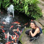 Ragini Khanna Instagram - 🐳🐠🐟🐬🐋🐡🦈