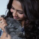 Reem Shaikh Instagram – Meow meow …🤍🐾
