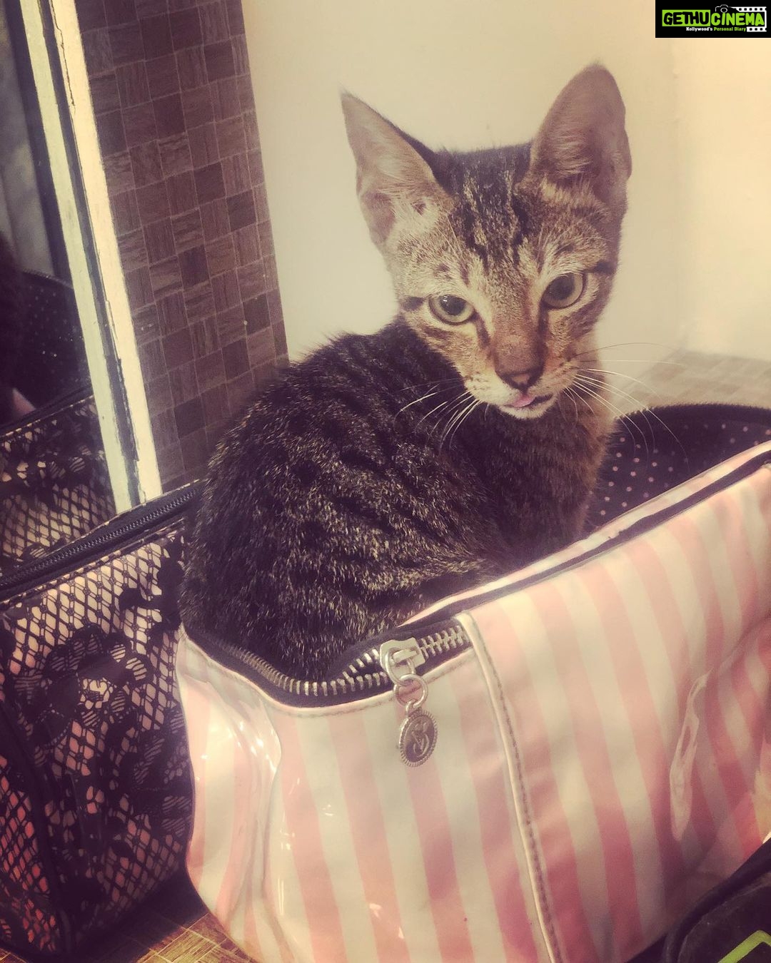 Reyhna Malhotra Instagram - Magicπ«π«π«π«π«π RIP My dearest Shambu β€οΈπ