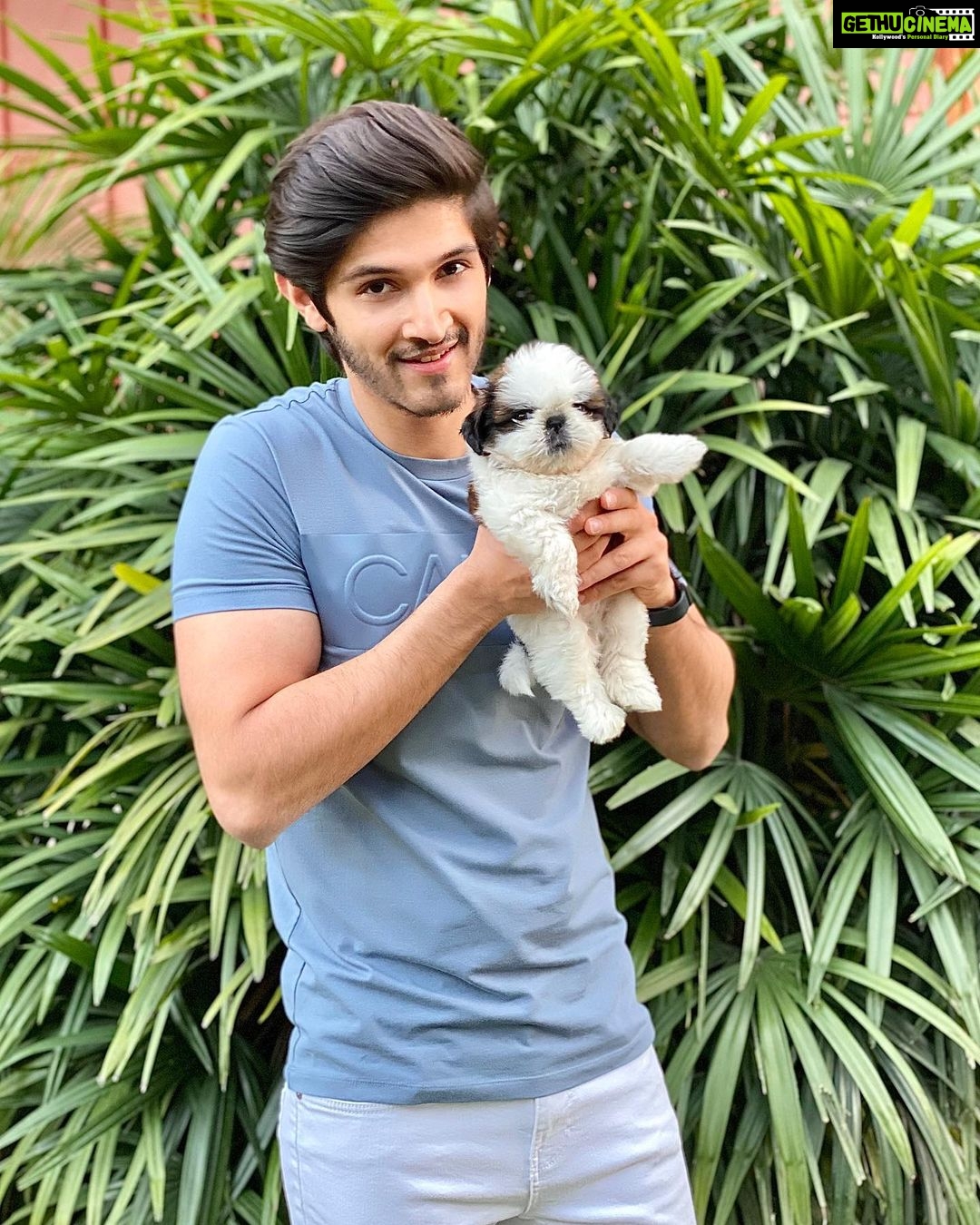 Rohan Mehra - 80.8K Likes - New addition to our family ❤️
Meet @its_me_muffin_mehra 🐶
Keep showering your blessings on us 😇
