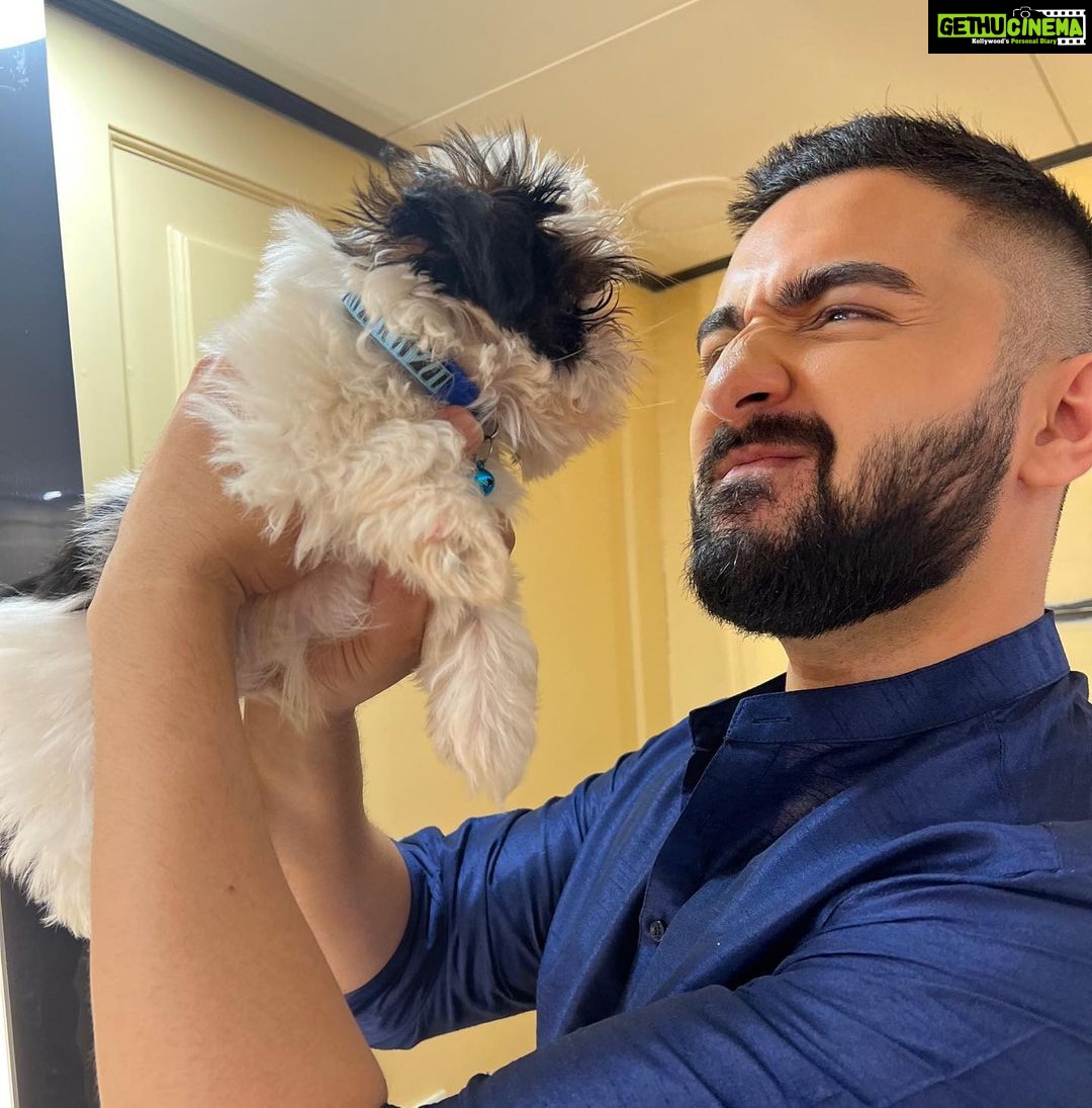 Rohit Suchanti Instagram - Two dogs 🐶 loving each other’s company 🤪🤣
