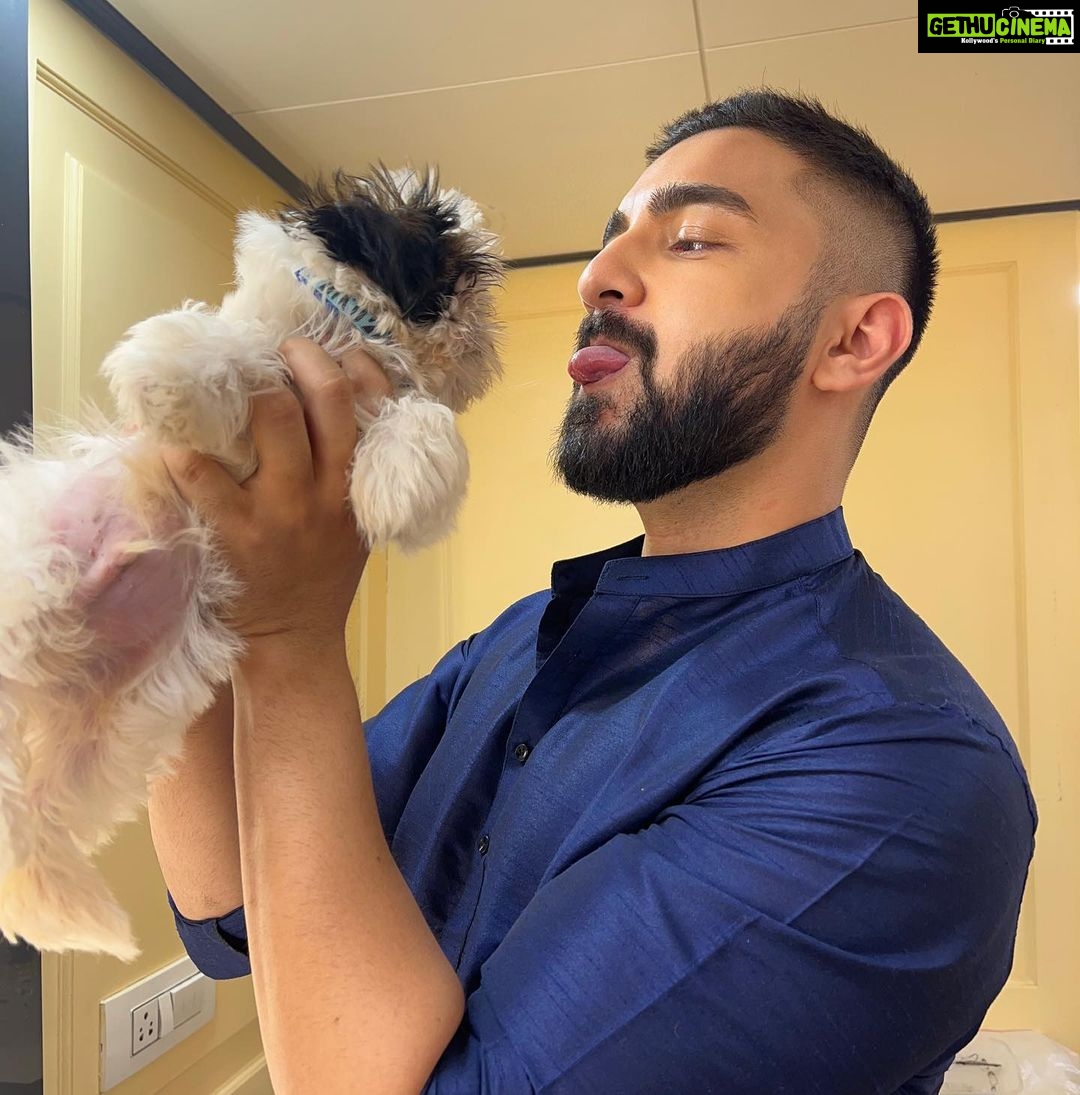 Rohit Suchanti Instagram - Two dogs 🐶 loving each other’s company 🤪🤣