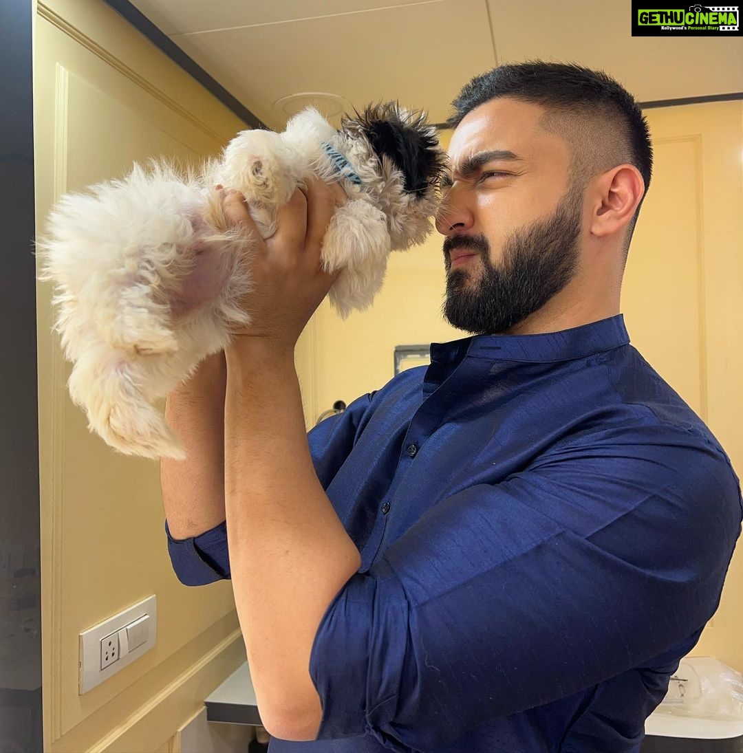 Rohit Suchanti Instagram - Two dogs 🐶 loving each other’s company 🤪🤣