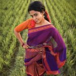 Roshini Haripriyan Instagram - கத்தரி பூ ✨ Ft @roshniharipriyan Shot by @haran_official_ Styled by @indu_ig Mua @deepz_beautyjourney Saree & blouse @ruffle_trends #roshniharipriyan #happy #sareelove
