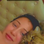 Roshmi Banik Instagram – शोर भारी इस दुनिया में…
सुकून भरा लम्हा हो तुम। ♥️🧿💫 @raysthebar69 
.
.
.
#mylove #kittensofinstagram #love #baby #life #sukoon #peace #trending #trendingreels #blessed #grateful #catsofinstagram