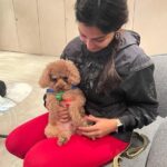 Rubina Bajwa Instagram - Whoever said that diamonds are a girls bestfriend, never had a dog. My gentle soul SHERU ❤️