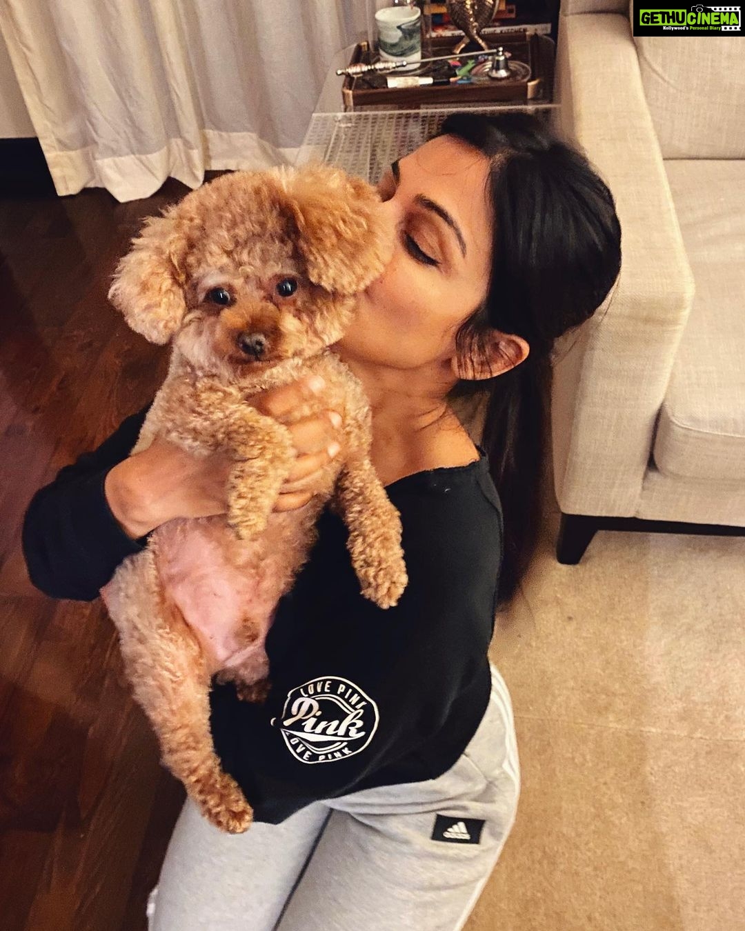 Rubina Bajwa Instagram - See You In 10 Day’s My Love Bug @sheru.chahal
