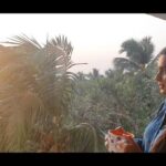 Ruhi Chaturvedi Instagram - Table For Two With A View 🌄 . . . . #shivkirooh #sunsetcouple #lovelovelove Goa, India