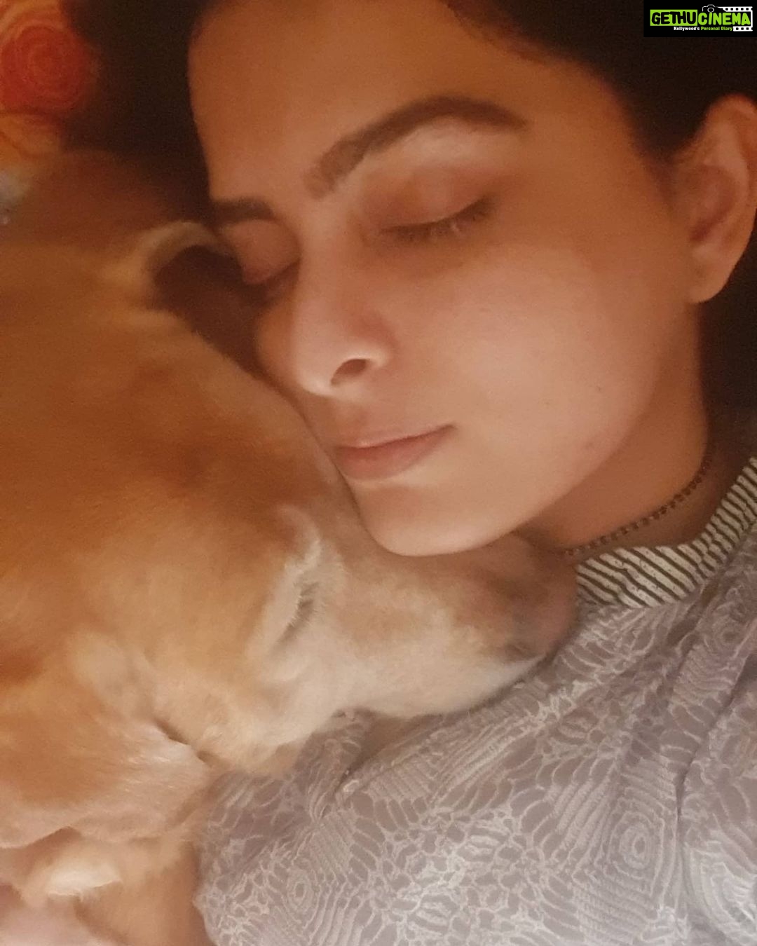 Ruhi Chaturvedi Instagram - That's the kind of Cuddle I live for 💕🐕 . . . . #skychaturvedi #merabhai #lovelovelove