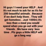 Ruhi Chaturvedi Instagram - Hi Guys @phoebesfarm really needs our help . A small amount can really help them . Plz spread the news on your social media . And ask your friends to be a part of it.... Please guys 🐕 a small amount that's all I'm asking for 🙏 . GPay - +919833955040 PayTm - +919833955040 . . #letssavetheirhome #animallovers