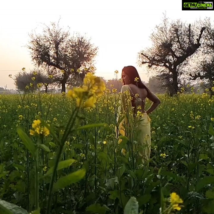 Ruhi Chaturvedi Instagram - Mai Filmy Hoon 🌼 . . . #myyashrajmoment #lovelovelove #rajasthandiaries #thatglowisoflove #RCtravels