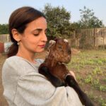 Sanaya Irani Instagram - Meet barfiiiii sweeter than a barfi ❤️❤️🥰🥰.