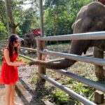 Sanaya Irani Instagram - Just trying to be an elephant whisperer 🐘🥰. The pure joy of being around animals ❤️❤️❤️.