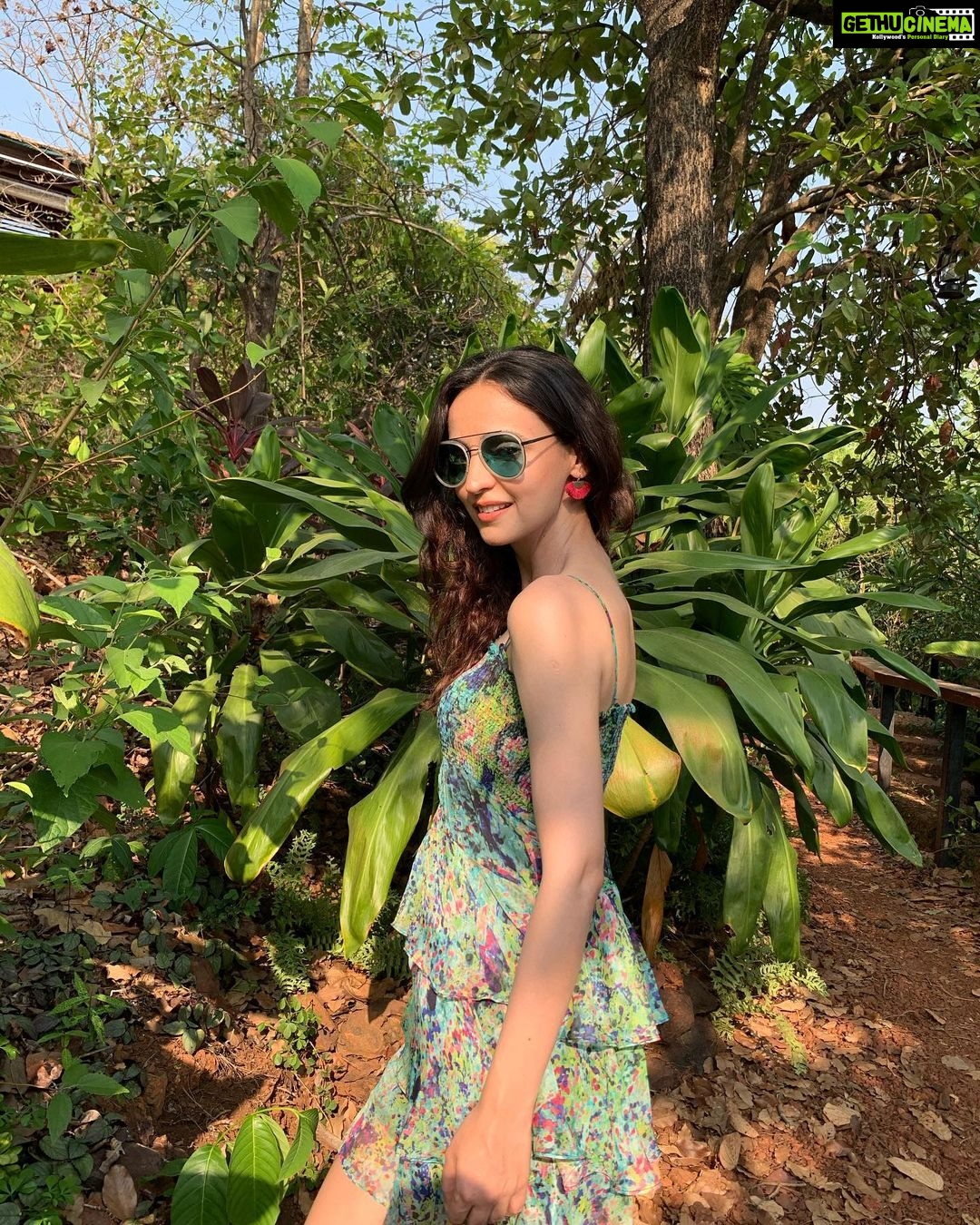 Sanaya Irani Instagram - A walk in the nature walks the soul back home 🌳 🌳❤️❤️. @caboserai I miss the green.