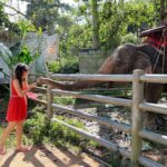 Sanaya Irani Instagram - Just trying to be an elephant whisperer 🐘🥰. The pure joy of being around animals ❤️❤️❤️.