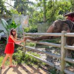 Sanaya Irani Instagram - Just trying to be an elephant whisperer 🐘🥰. The pure joy of being around animals ❤️❤️❤️.