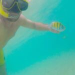 Sanjay Gagnani Instagram - Life is like a Sea of Fish 🐟🐠 You never know what you gonna Catch! 🎣😜 #fridayvibes #travelreels #phiphiisland #thailand #fishing #underwater #livelifetothefullest