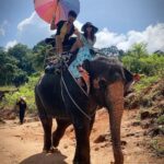 Sanjay Gagnani Instagram – With my Saathi @sanjaygagnaniofficial and Haathi 🐘😜

#traveldiaries #phuket #makingmemories Elephant Sanctuary Phuket