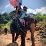 Sanjay Gagnani Instagram - With my Saathi @sanjaygagnaniofficial and Haathi 🐘😜 #traveldiaries #phuket #makingmemories Elephant Sanctuary Phuket