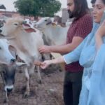 Sapna Choudhary Instagram – इस video क उद्देश्य ये नही की हमें वाहवाही मिले या हम दानवीर कहलाए ..हमारा मक़सद बस इतना ही है की अपनी ख़ुशी में अपने करीबी इंसानो के सिवा बेज़ुबानो को भी शामिल कीजिए…आपको बहुत अच्छा लगेगा…आजकल गौमाता lumpy skin disease नाम की बीमारी से पीड़ित है…इस पृथ्वी पर गौ की ज़रूरत हमेशा रही है…आज उस गौमाता को हमारी ज़रूरत है…आम जनता के साथ साथ सरकारों को भी इस पर गम्भीरता से सोचना चाहिए…मेरे fans भी हो सके तो किसी जरूरतमंद की मदद करदिया करे यही असली birthdays wish होगी

#safecow #gaumata #positivity #positivevibes #thankgodforeverything