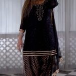 Sapna Choudhary Instagram –