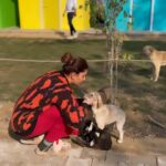 Sapna Choudhary Instagram - Love is a four-legged word 🐶 #positivity #animals #animallovers #reels #instagood #sapnachaudhary #positivevibes #feelings #doglover #dosti #thankgodforeverything