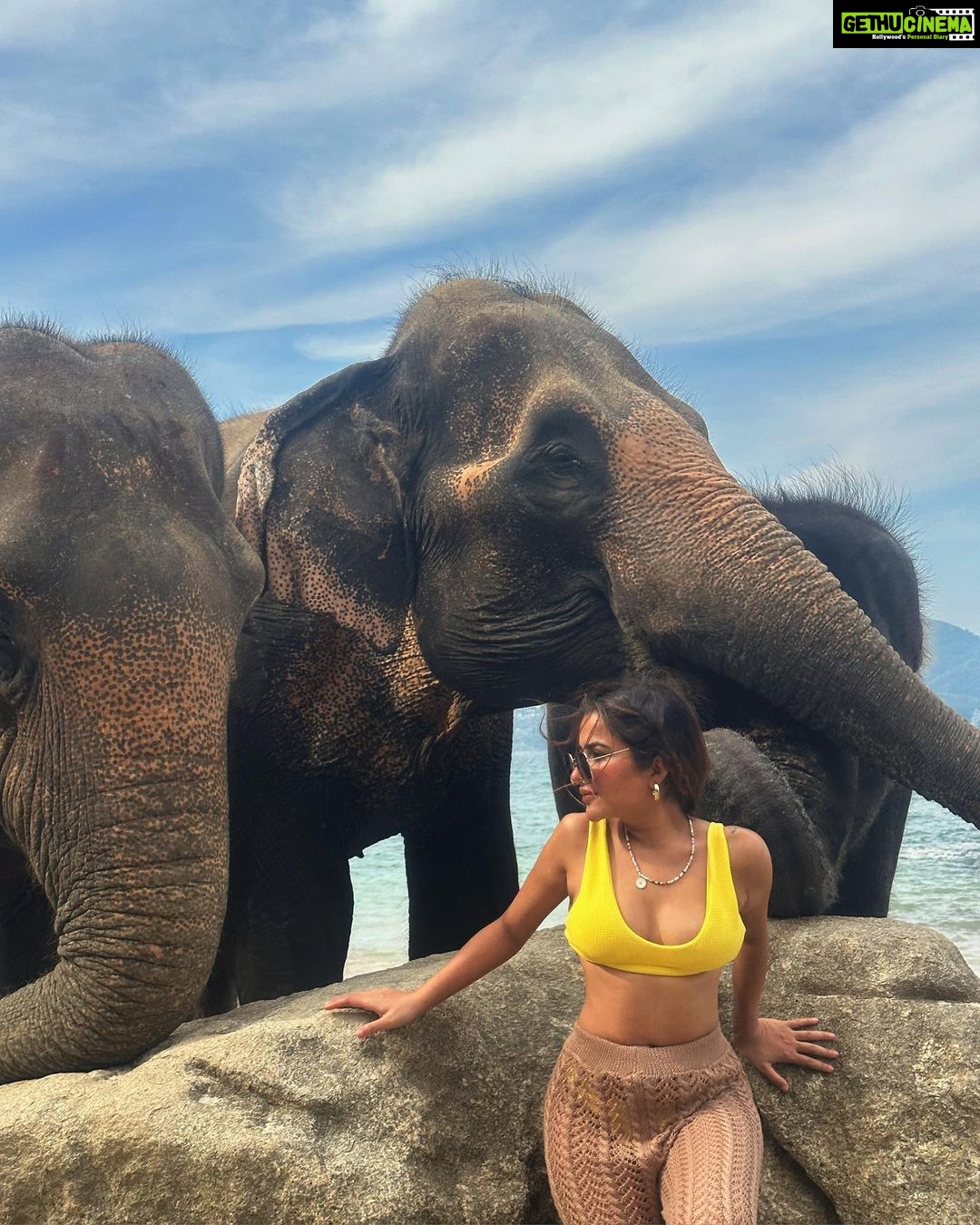 Sara Gurpal Instagram - #SaraKehndi Straight from 🏝️