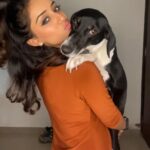 Sargun Kaur Luthra Instagram - Sleepy ayu n excited me 🤪🤪💥💥 #loveofmylife #dogs #cute love #newyear @ms.aayankaur Mumbai, Maharashtra