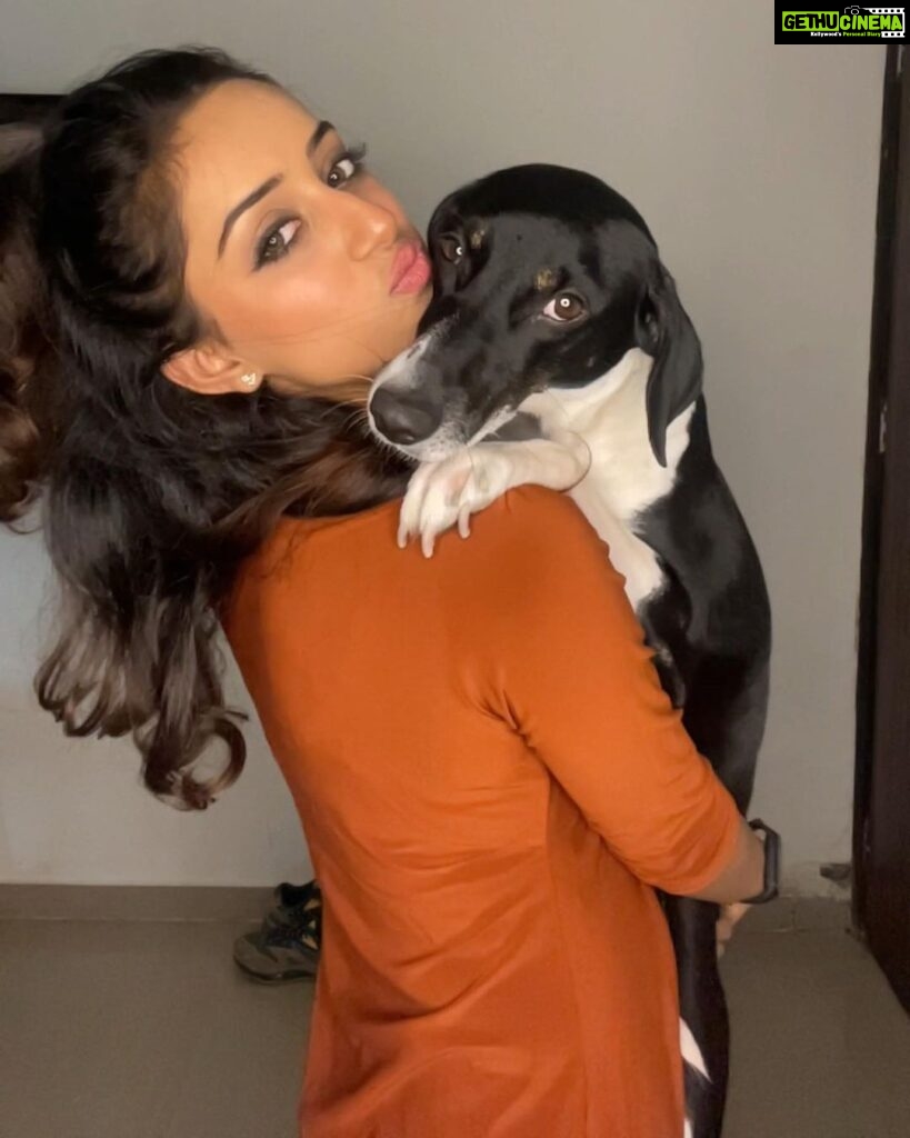 Sargun Kaur Luthra Instagram - Sleepy ayu n excited me 🤪🤪💥💥 #loveofmylife #dogs #cute love #newyear @ms.aayankaur Mumbai, Maharashtra