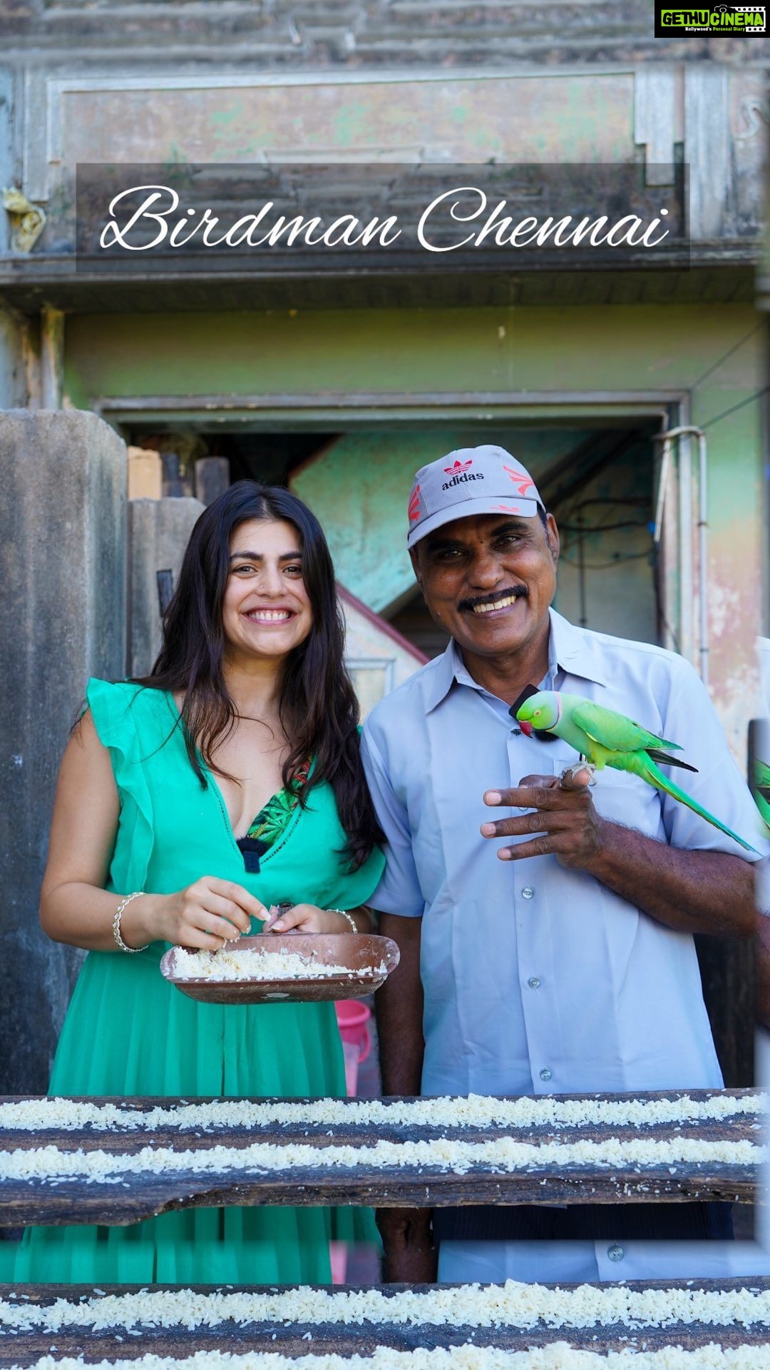 Shenaz Treasurywala Instagram - The Birdman is in trouble. His purpose is in danger. His landlord wants him to move out so that the building can go into re development. Mr Sekar does not want to move, who will feed the parrots? Do you have any suggestions how he can keep his home? The Birdman also has a huge vintage camera 📸 collection, he worked for years as a camera repairman. He is hoping the government hears about him and turns his home into a museum so he can keep his home and continue to feed the parrots 🦜 Do you think this is possible? Suggestions? #birdmanofchennai #feedingthebirds #inspiringstories #travelromancesmiles Chennai