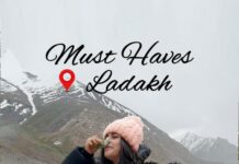 Shenaz Treasurywala Instagram - What place is drier than your ex? Ladakh is a cold desert lying in the Himalayas. Everything gets dry here. So come prepared! Oxygen is thin, altitude sickness is common. Garlic is an essential here. Garlic soup, garlic water, garlic in your food. Make sure you're here on your honeymoon, Ladakh will be the true test of your marriage ;) Jokes aside, what else would you take to Ladakh?? Red dress: @kaprapanbyanaitashah #ladakh #leh #travelromancesmiles #solotraveler