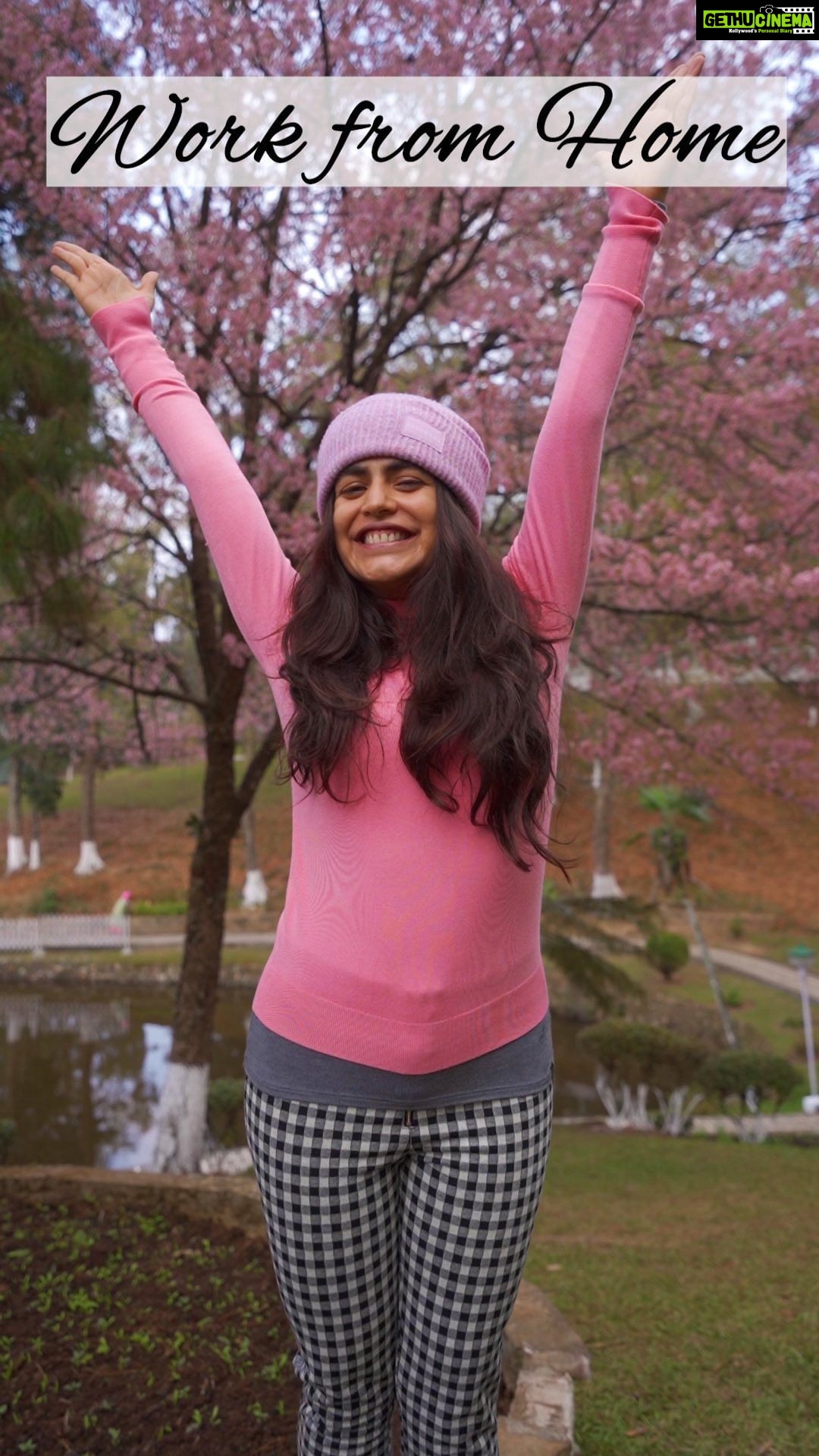 Shenaz Treasurywala Instagram - What's your choice? Work from home/ anywhere or work from office? Where in India would you like to work from? Beach, mountains, backwaters, forests, home or the office π³? #workationindia #workfromhome #workandvacation #travelromancesmiles