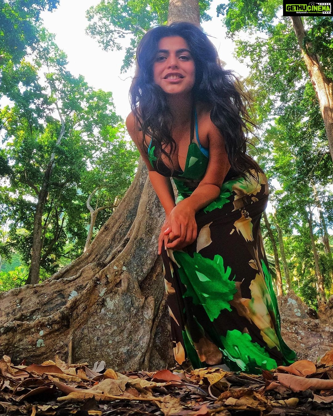 Shenaz Treasurywala Instagram - What is happening in Auroville? Progress or Politics? Are you in favour of cutting trees for progress and development??? I am NOT in favour of cutting ✂️ down trees!!! Something horrible is happening at Auroville. Please share. Let's help these people!!!! I havent been able to sleep seeing the violence at Auroville, my favourite place in india. You've seen my videos of Auroville- the way the poeple live within the trees and forests- in the thick of nature! There is nowhere in India or the world like this special place. What's most special about Auroville are the trees, the forests that I feel are sacred and blessed and this tranquil model city is being cut down to build roads!! The crown project - The way that it is being done is so awful- so much violence against the people who are protesting. Not all aurvillians are against the crown project- some are just against the way it is being done. Women are being beaten, bulldozers are cutting down trees while the people protest and chant. Some aurovillans say they are not against the project, they are against the violence. And some say - they don't want roads - they want their forests!! Killing tress is also Murder!!!! “The governing board secretary is implementing the master plan crown road without any care for trees or houses. She has the support of some aurovilians that are mafia and have called Gundas on us. But now we know this people's true intentions.' "We are all ok, no injured. Just hurt in the spirit a little” a note from one of my friend from Auroville Another friend wrote, "Don't worry , the old polarity between development and organic growth and freedom..... Some pressure from government, some internal manipulation, the anarchists opposing the strategist.....finally all necessary for essential progress and integration?" Some are against and some are for it - Another friend wrote - " How do you think Auroville will accommodate more people? By not cutting any trees?" All this is progress??? Or is this politics?? Should we cut trees for development?? I am not in favour of cutting forests. #helpauroville #auroville #protectforest #aurovilleforunity Auroville : The Future of World in India