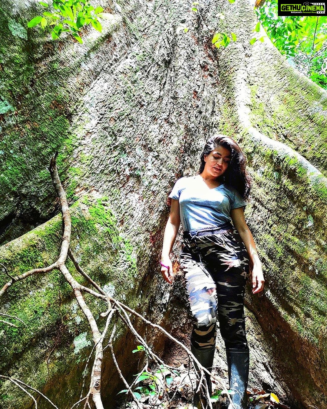 Shenaz Treasurywala Instagram - What is happening in Auroville? Progress or Politics? Are you in favour of cutting trees for progress and development??? I am NOT in favour of cutting ✂️ down trees!!! Something horrible is happening at Auroville. Please share. Let's help these people!!!! I havent been able to sleep seeing the violence at Auroville, my favourite place in india. You've seen my videos of Auroville- the way the poeple live within the trees and forests- in the thick of nature! There is nowhere in India or the world like this special place. What's most special about Auroville are the trees, the forests that I feel are sacred and blessed and this tranquil model city is being cut down to build roads!! The crown project - The way that it is being done is so awful- so much violence against the people who are protesting. Not all aurvillians are against the crown project- some are just against the way it is being done. Women are being beaten, bulldozers are cutting down trees while the people protest and chant. Some aurovillans say they are not against the project, they are against the violence. And some say - they don't want roads - they want their forests!! Killing tress is also Murder!!!! “The governing board secretary is implementing the master plan crown road without any care for trees or houses. She has the support of some aurovilians that are mafia and have called Gundas on us. But now we know this people's true intentions.' "We are all ok, no injured. Just hurt in the spirit a little” a note from one of my friend from Auroville Another friend wrote, "Don't worry , the old polarity between development and organic growth and freedom..... Some pressure from government, some internal manipulation, the anarchists opposing the strategist.....finally all necessary for essential progress and integration?" Some are against and some are for it - Another friend wrote - " How do you think Auroville will accommodate more people? By not cutting any trees?" All this is progress??? Or is this politics?? Should we cut trees for development?? I am not in favour of cutting forests. #helpauroville #auroville #protectforest #aurovilleforunity Auroville : The Future of World in India