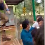 Shenaz Treasurywala Instagram - What is happening in Auroville? Progress or Politics? Are you in favour of cutting trees for progress and development??? I am NOT in favour of cutting ✂️ down trees!!! Something horrible is happening at Auroville. Please share. Let's help these people!!!! I havent been able to sleep seeing the violence at Auroville, my favourite place in india. You've seen my videos of Auroville- the way the poeple live within the trees and forests- in the thick of nature! There is nowhere in India or the world like this special place. What's most special about Auroville are the trees, the forests that I feel are sacred and blessed and this tranquil model city is being cut down to build roads!! The crown project - The way that it is being done is so awful- so much violence against the people who are protesting. Not all aurvillians are against the crown project- some are just against the way it is being done. Women are being beaten, bulldozers are cutting down trees while the people protest and chant. Some aurovillans say they are not against the project, they are against the violence. And some say - they don't want roads - they want their forests!! Killing tress is also Murder!!!! “The governing board secretary is implementing the master plan crown road without any care for trees or houses. She has the support of some aurovilians that are mafia and have called Gundas on us. But now we know this people's true intentions.' "We are all ok, no injured. Just hurt in the spirit a little” a note from one of my friend from Auroville Another friend wrote, "Don't worry , the old polarity between development and organic growth and freedom..... Some pressure from government, some internal manipulation, the anarchists opposing the strategist.....finally all necessary for essential progress and integration?" Some are against and some are for it - Another friend wrote - " How do you think Auroville will accommodate more people? By not cutting any trees?" All this is progress??? Or is this politics?? Should we cut trees for development?? I am not in favour of cutting forests. #helpauroville #auroville #protectforest #aurovilleforunity Auroville : The Future of World in India